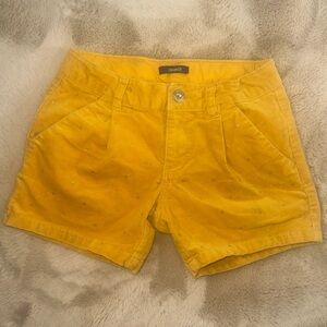 OKAIDI Mustard Yellow with glitter polkadots velvet Shorts